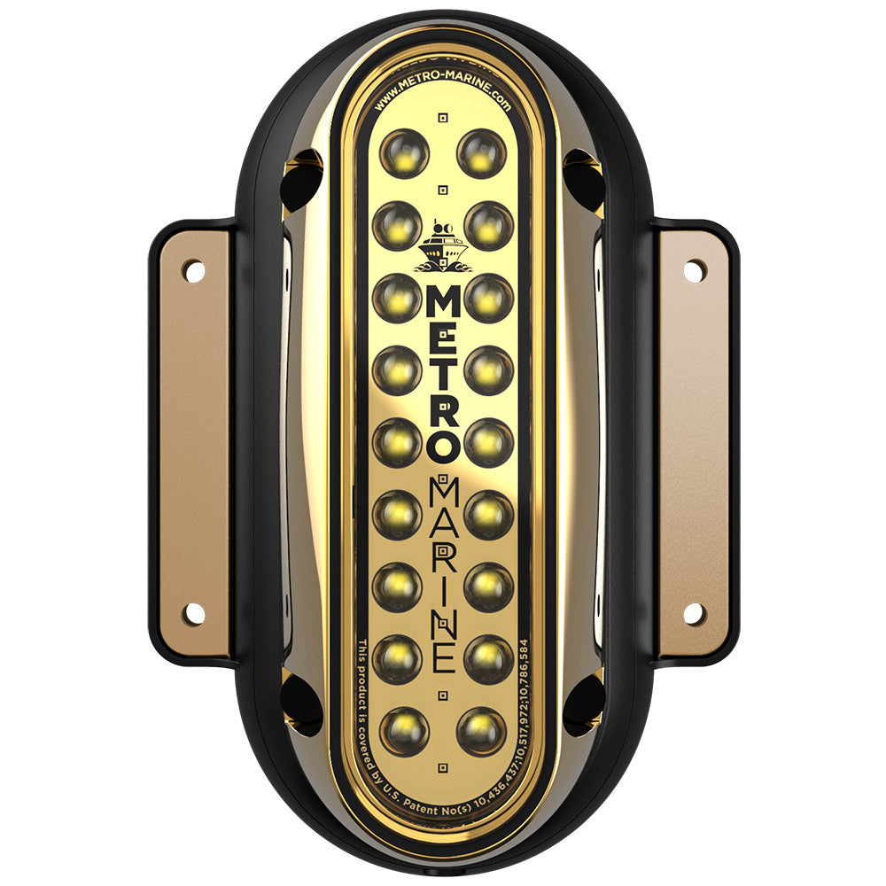 Metro Marine HighOutput Vertical Surface Mount Light wIntelligent Monochromatic LEDs White 45 Beam FSME1VW345