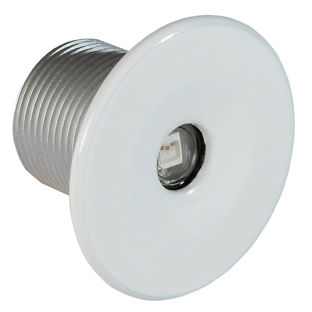 Lumitec Echo Courtesy Light White Housing Blue Light 112224