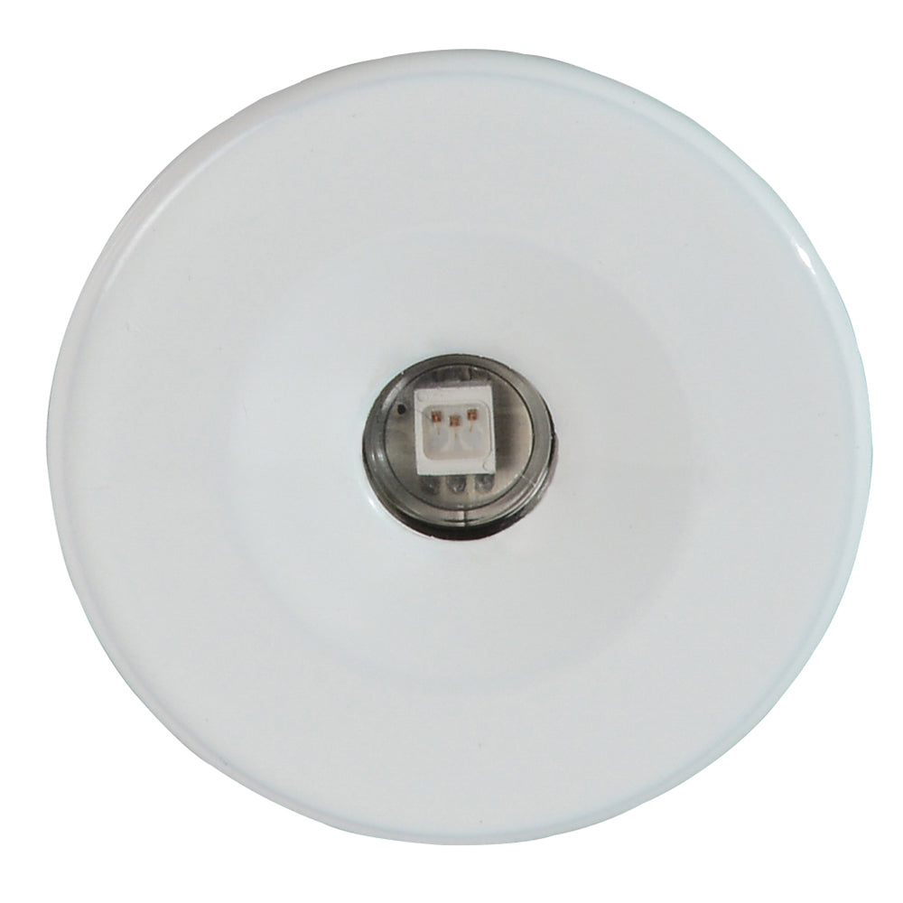 Lumitec Echo Courtesy Light White Housing Blue Light 112224