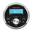 Aquatic AV GP1 Gauge Stereo RA611