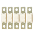 Victron MEGA Fuse 250A80V Package of 5 Pieces CIP138250020