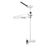 Minn Kota Riptide Maxxum RT80SMLD BowMount Trolling Motor  24V80lb52 1363447