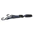 CargoBuckle Cam Buckle TieDown Value 4Pack  1 x 6 F12637